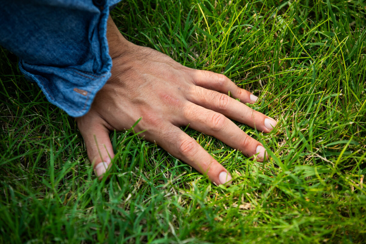 A hand spread across green grass.