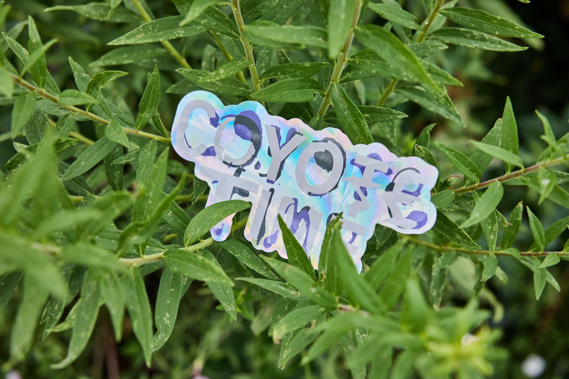 Coyote Time Convening: Climate Futures and Infrastructural Imaginaries