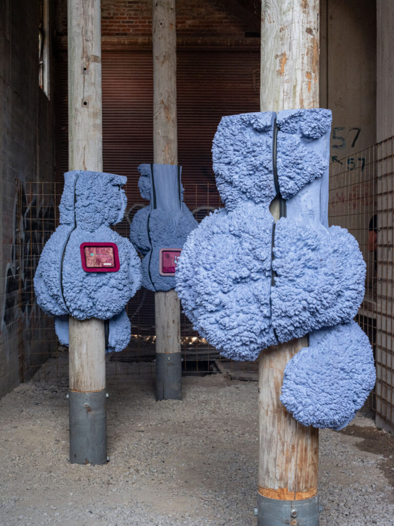 Artwork installation showing unidentified objects wrapped around wooden poles