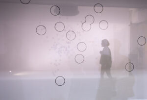 Performance: Kite